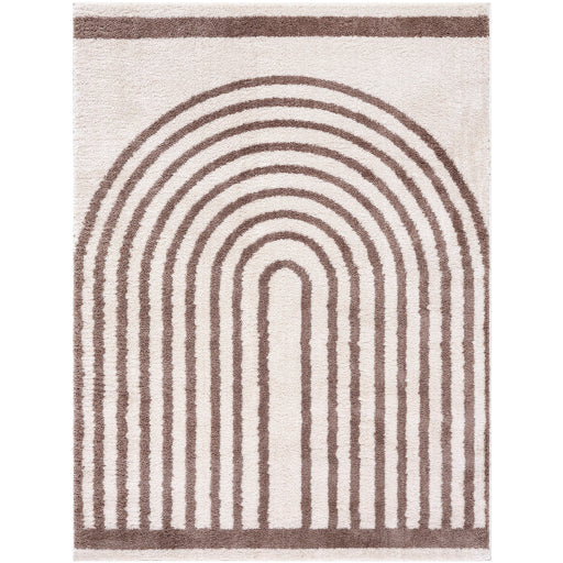 Fossay Shag Flair Weave Rug