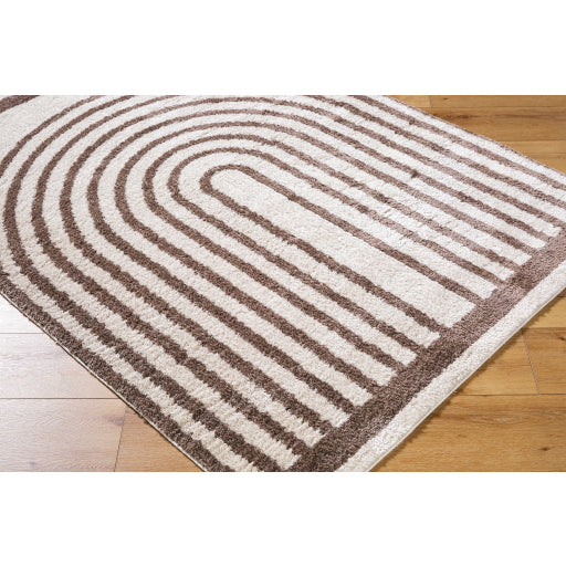 Fossay Shag Flair Weave Rug