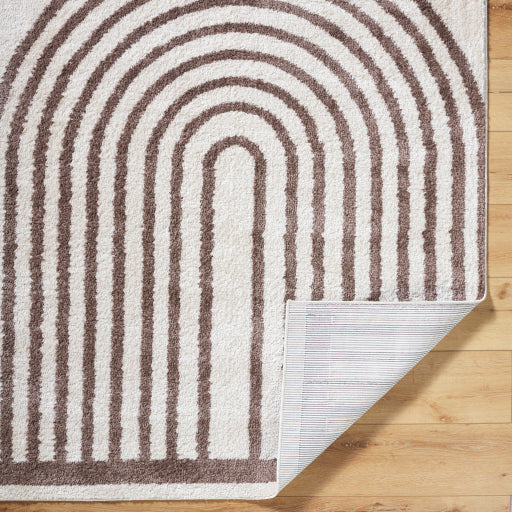 Fossay Shag Flair Weave Rug