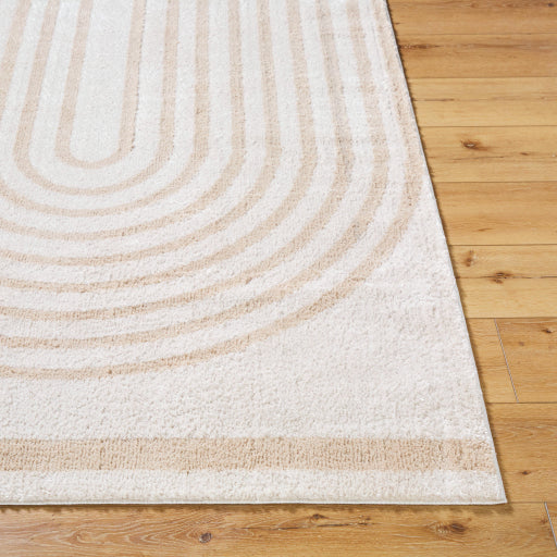 Fossay Shimmer Weave FSG-2311 Small Area Rug