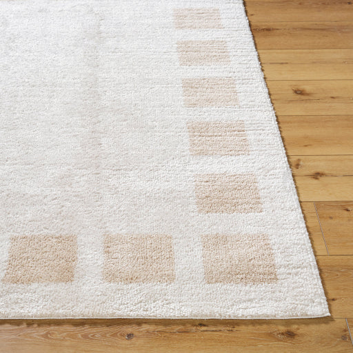 Fossay Shag Flowing Weave Area Rug