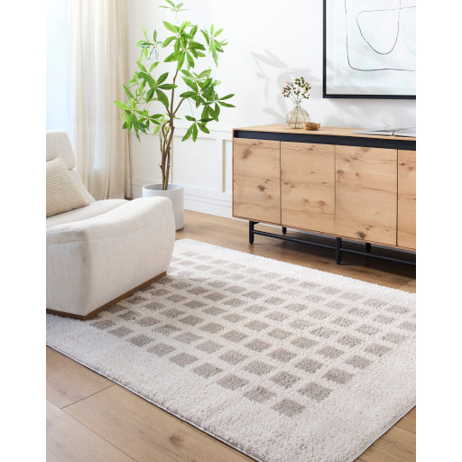 Fossay Shimmer Square Machine Woven Rug