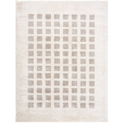 Fossay Shimmer Square Machine Woven Rug