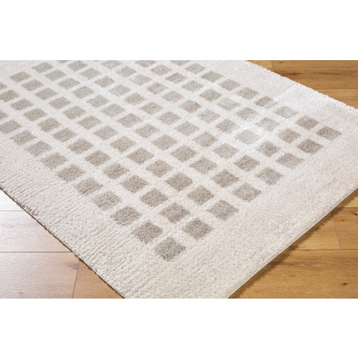 Fossay Shimmer Square Machine Woven Rug