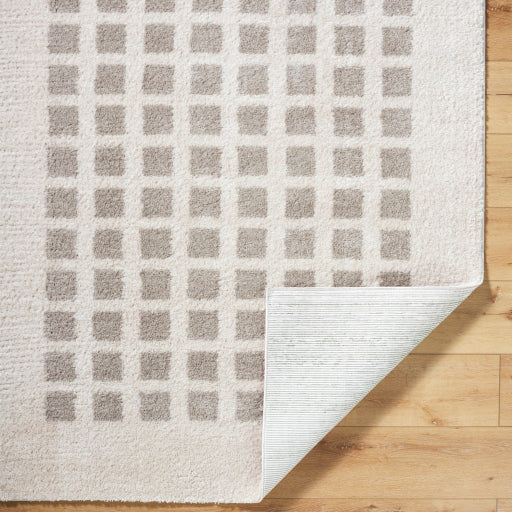 Fossay Shimmer Square Machine Woven Rug