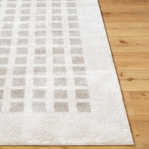 Fossay Shimmer Square Machine Woven Rug