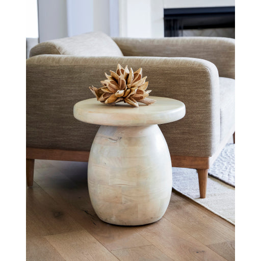 Ethan Slim 20H x 20W x 20D Coffee Table