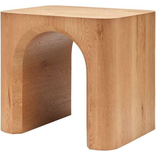 Sleek Elegance GRSN-002 22"H x 22"W x 18"D End Table