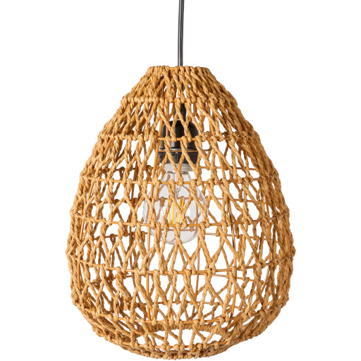 Elara ELM-012 Globe Pendant