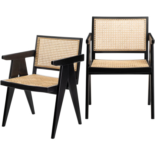Global Elegance Dining Chair