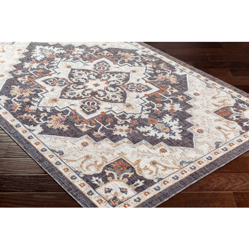 Juliet Jewel-Tone Transitional Area Rug