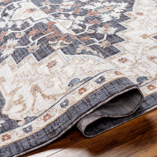 Juliet Jewel-Tone Transitional Area Rug