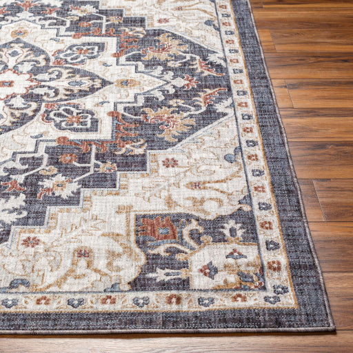 Juliet Jewel-Tone Transitional Area Rug
