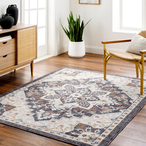Juliet Jewel-Tone Transitional Area Rug