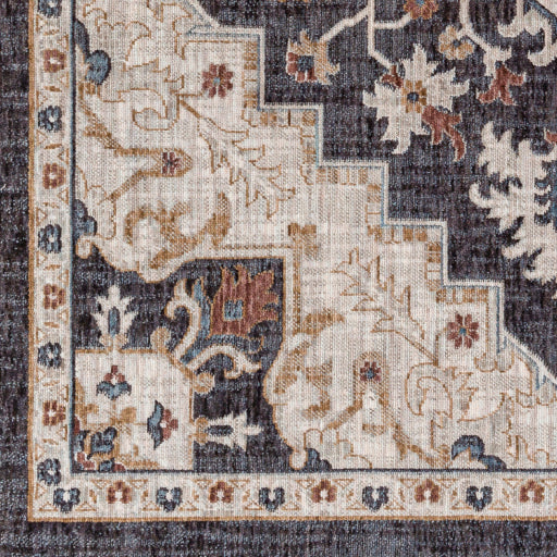 Juliet Jewel-Tone Transitional Area Rug