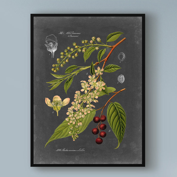 'Midnight Botanical II' Graphic Art Print on Wrapped Canvas Charlton Home® Size: 24" H x 18" W x 2" D