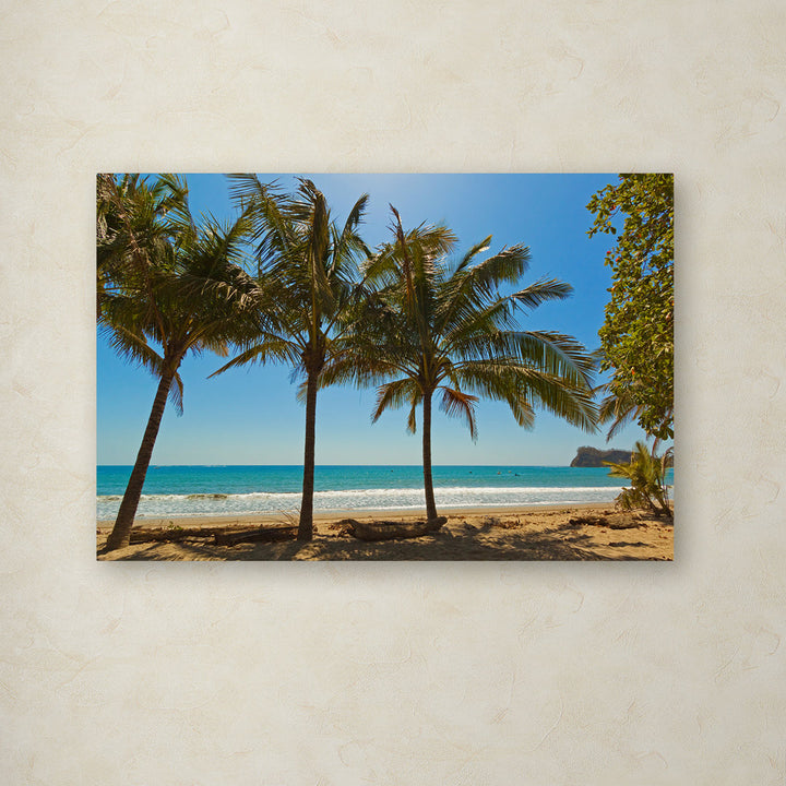 'Palm Trees 2' Photographic Print on Wrapped Canvas Trademark Fine Art Size: 30" H x 47" W