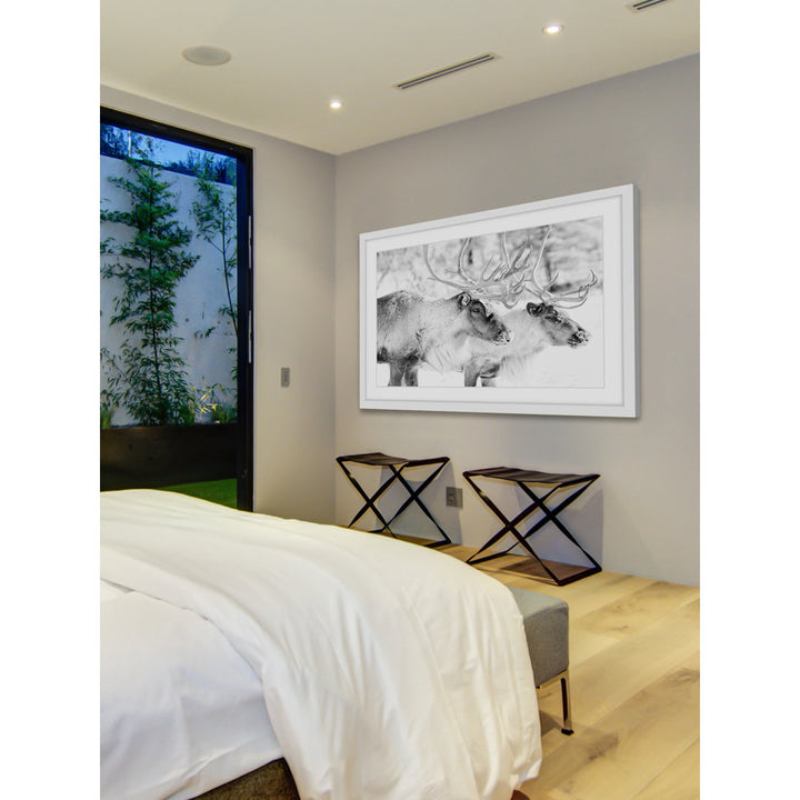 'Elk Pair' Framed Photographic Print on Paper Marmont Hill Size: 30" H x 45" W x 1.5" D