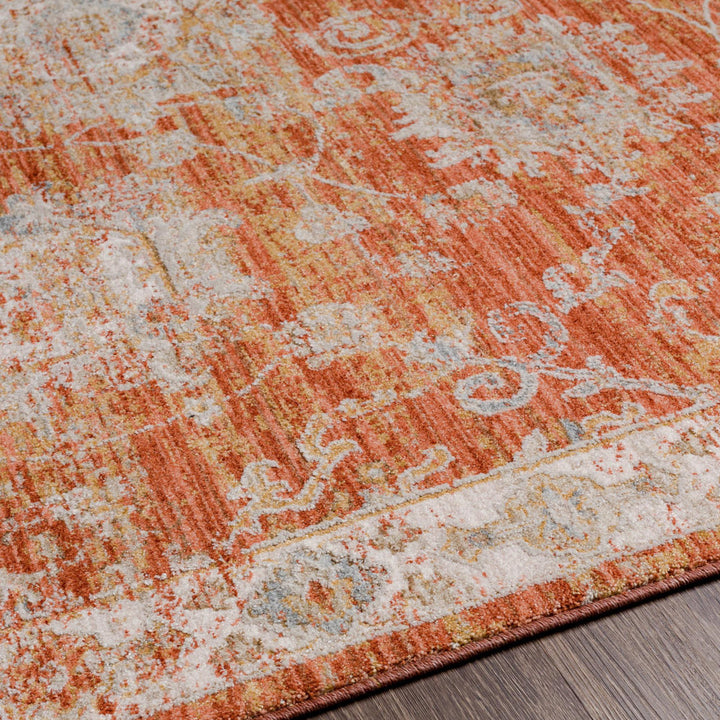 Conlan Oriental Burnt Orange Area Rug Birch Lane™ Rug Size: Rectangle 7'10" x 10'3"