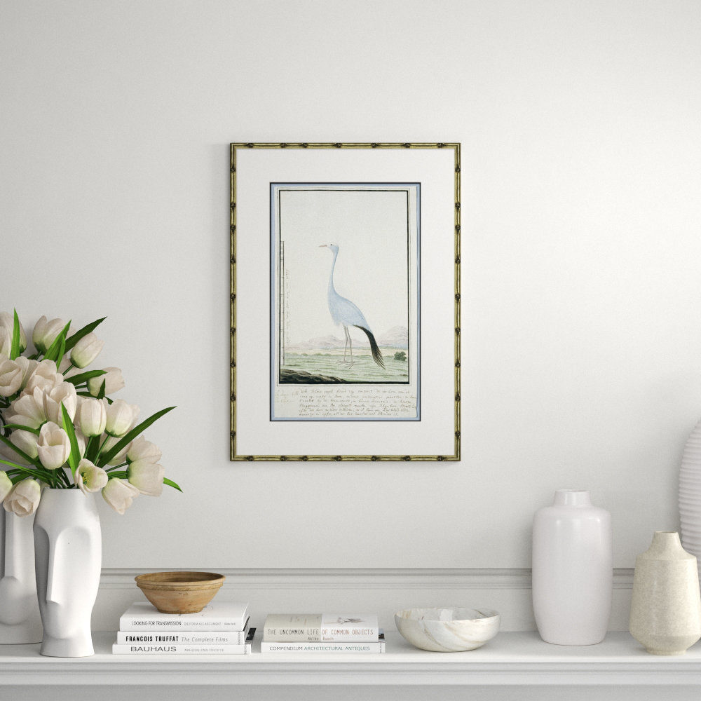 Bird Drawings, Circa 1777' - Picture Frame Painting on Paper Soicher Marin