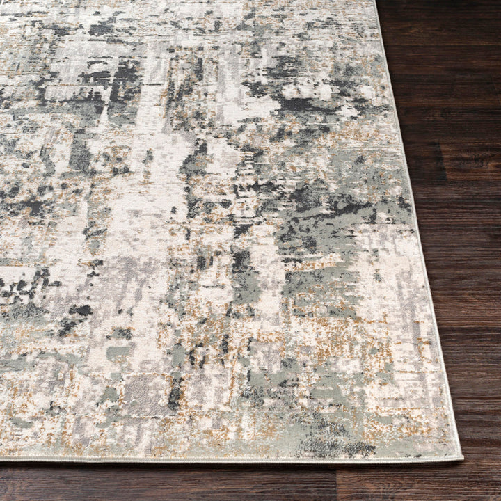 Maddux Power Loom Charcoal Rug Trent Austin Design® Rug Size: Rectangle 9'3" x 12'3"