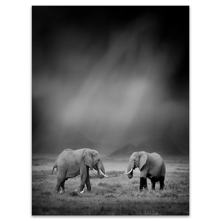 2 African Elephant in Dark Artwork' Graphic Art Print on Wrapped Canvas East Urban Home Size: 20" H x 12" W x 1" D