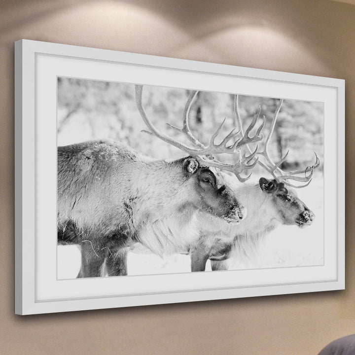 'Elk Pair' Framed Photographic Print on Paper Marmont Hill Size: 30" H x 45" W x 1.5" D
