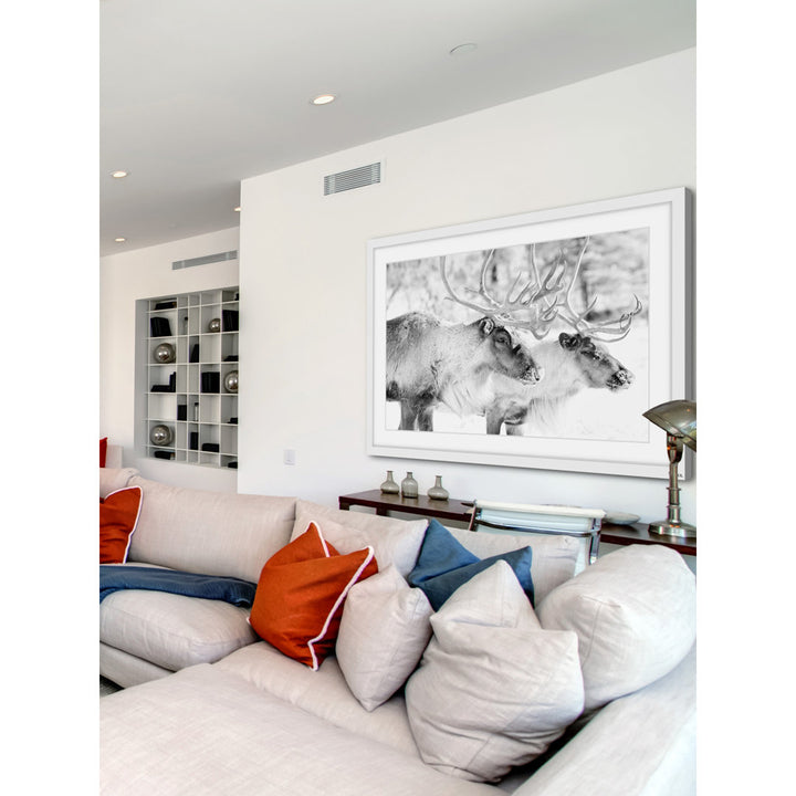 'Elk Pair' Framed Photographic Print on Paper Marmont Hill Size: 30" H x 45" W x 1.5" D