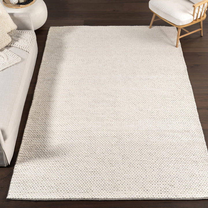 Dunanney Hand Braided Ivory Area Rug Dakota Fields Rug Size: Rectangle 8' x 11'