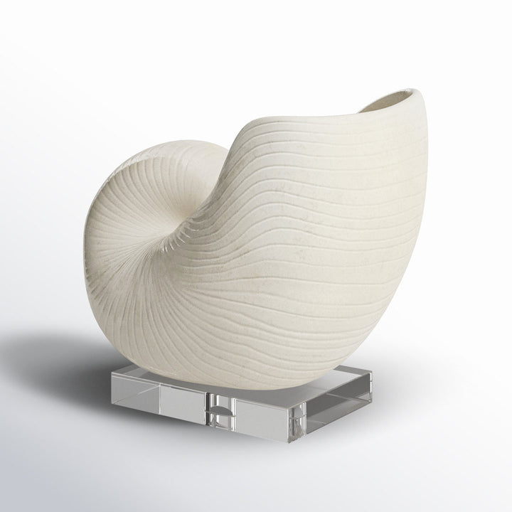 Lakefield Shell Sculpture Birch Lane™