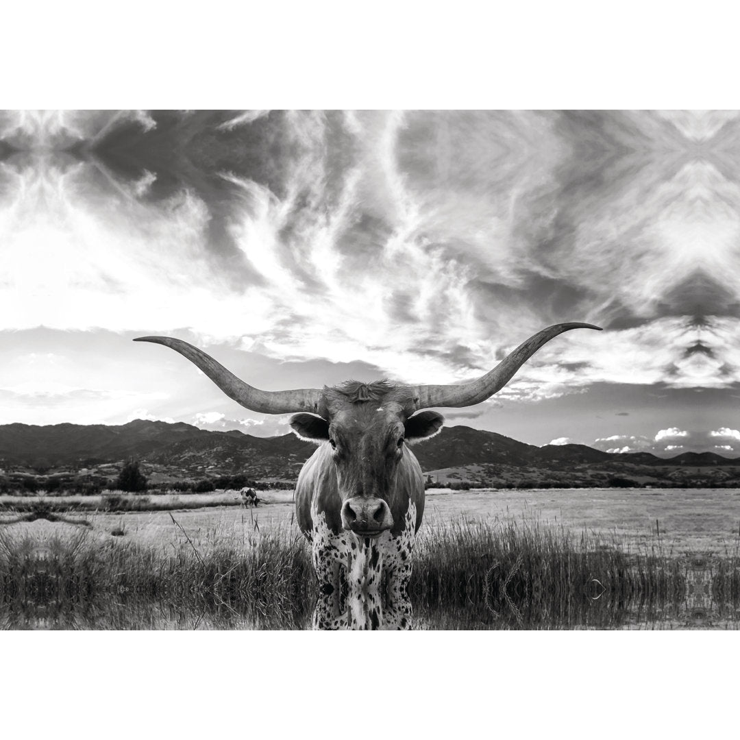 Black And White Longhorn Cow I - Wrapped Canvas Photograph Steelside™ Size: 20" H x 30" W   Format: White Framed Print, Mat Included: Yes