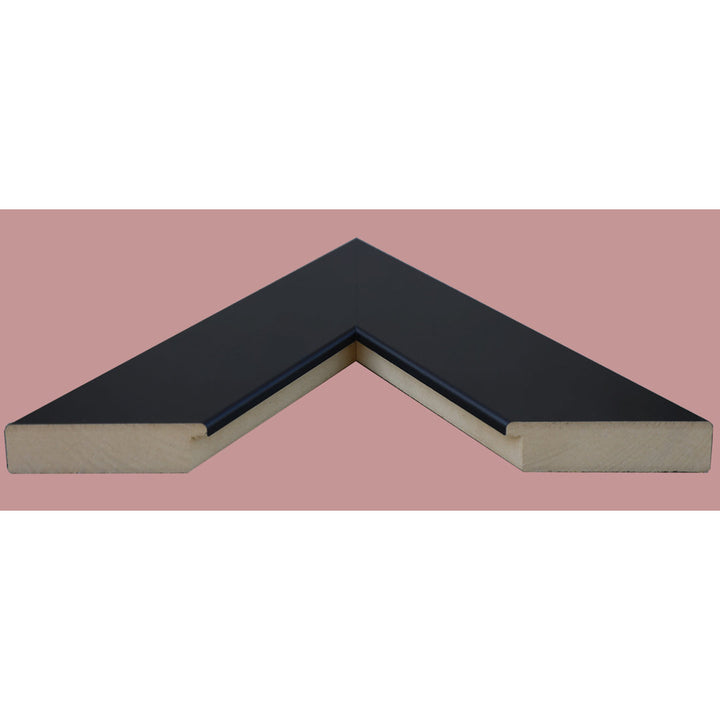 Gollu Mirror Ebern Designs Size: 24" x 48" Finish: Black