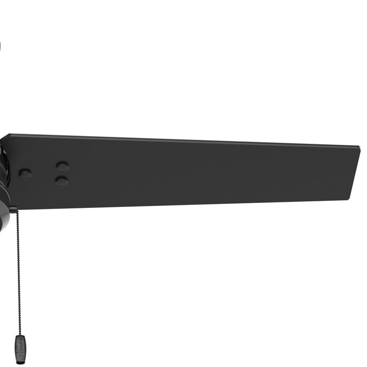 44" Cassius 3 - Blade Outdoor Standard Ceiling Fan with Pull Chain Hunter Fan Finish: Matte Black