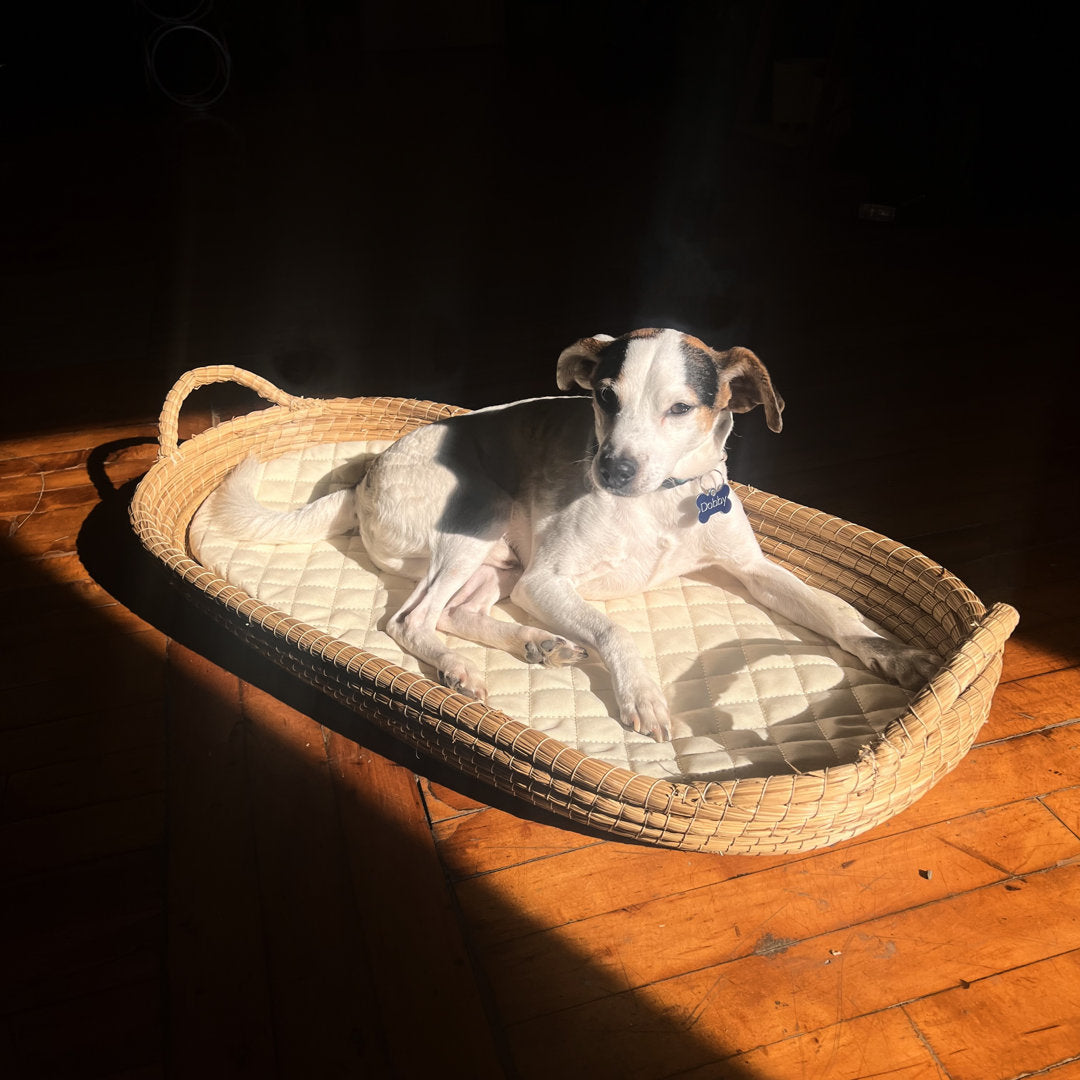 Rutledge & King Pet Bed Rutledge & King Color: Natural