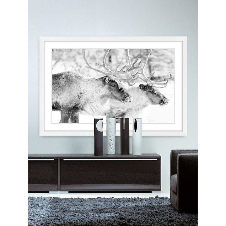 'Elk Pair' Framed Photographic Print on Paper Marmont Hill Size: 30" H x 45" W x 1.5" D