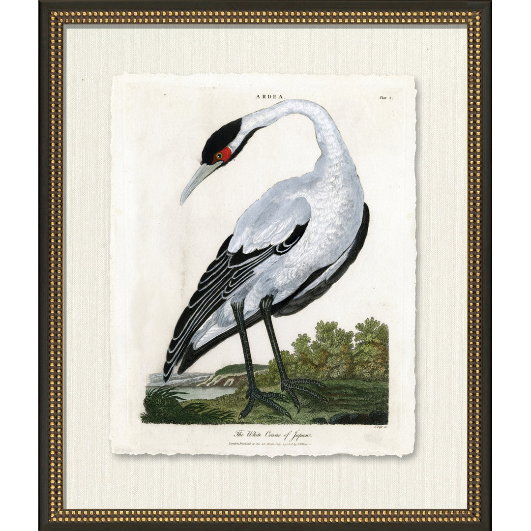 Medium White Crane - Picture Frame Painting on Paper Wendover Art Group
