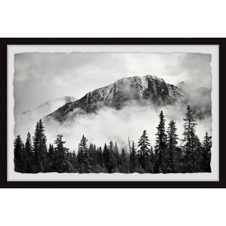 'Forest On Fog' Framed Print Loon Peak® Size: 30" H x 45" W x 1.5" D