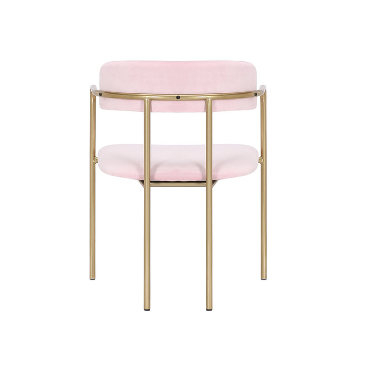 Chestertown Gold Chrome Dining Chair (Set of 2) Willa Arlo™ Interiors Upholstery Color: Pink
