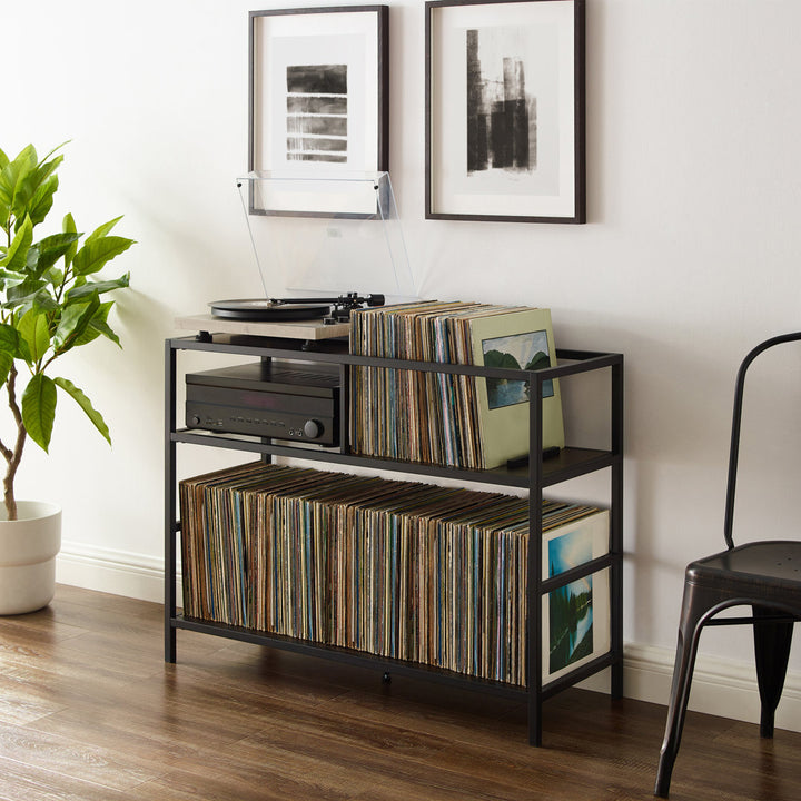 Record Storage Console Media Shelve 17 Stories
