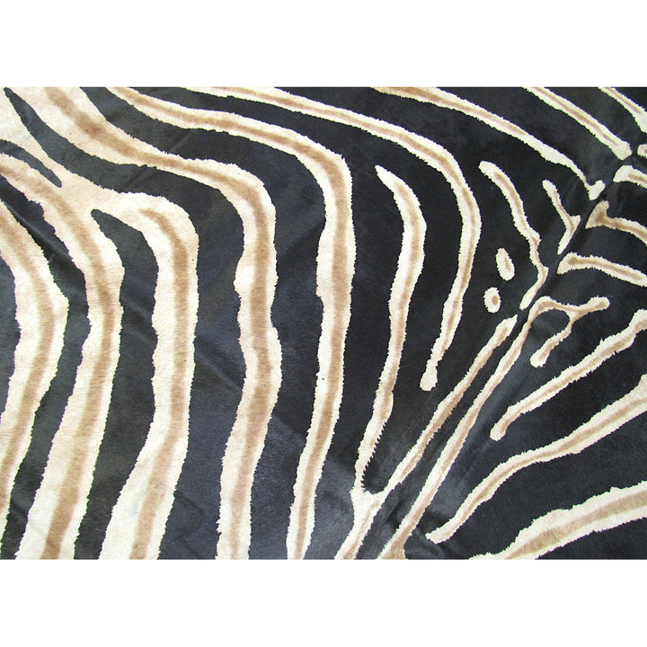 Annecorinne Genuine Zebra Cowhide Brown/Black Area Rug Everly Quinn
