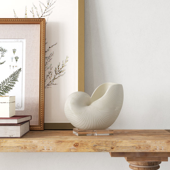 Lakefield Shell Sculpture Birch Lane™