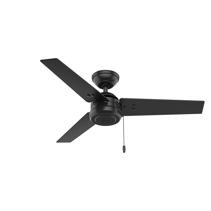 44" Cassius 3 - Blade Outdoor Standard Ceiling Fan with Pull Chain Hunter Fan Finish: Matte Black