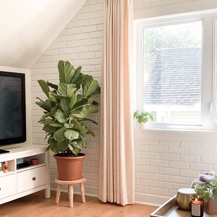 Brick 5.75" x 45" Peel and Stick Wall Paneling Ninth & Vine Color: White