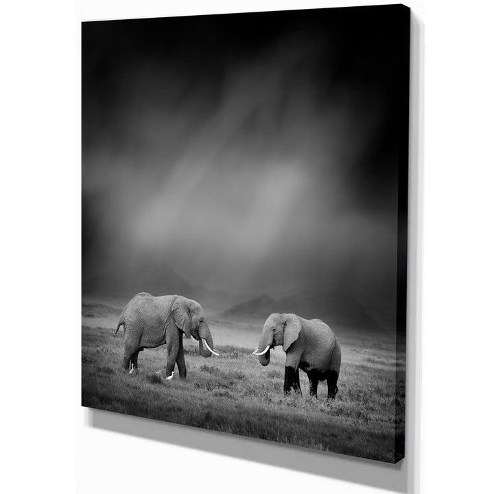 2 African Elephant in Dark Artwork' Graphic Art Print on Wrapped Canvas East Urban Home Size: 20" H x 12" W x 1" D