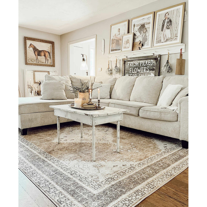 Albar Moroccan Machine Washable Brown Area Rug Foundry Select Rug Size: Rectangle 7'10" x 10'