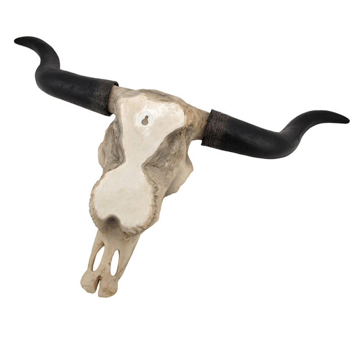 Longhorn Cow Skull Wall Décor Foundry Select