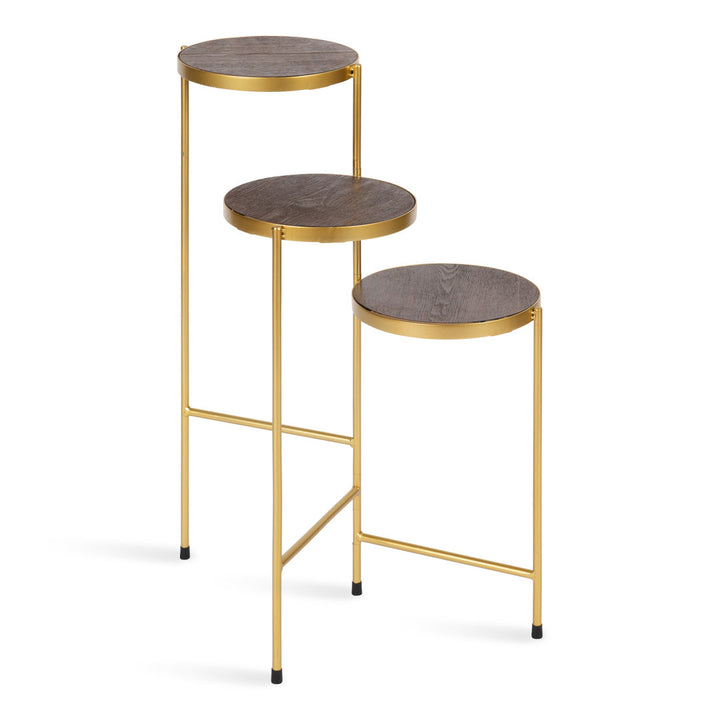 Logan Square Round Multi-Tiered Solid Wood Plant Stand Mercury Row® Color: Walnut Brown