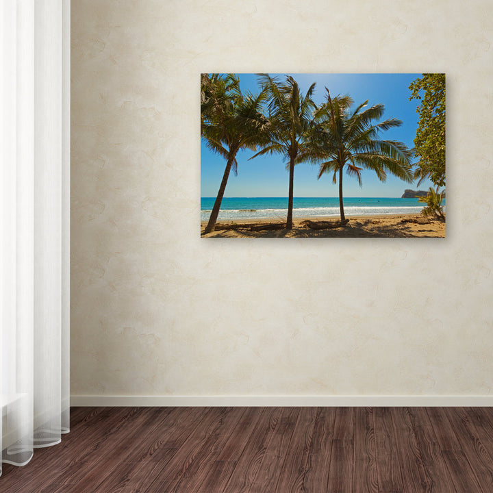 'Palm Trees 2' Photographic Print on Wrapped Canvas Trademark Fine Art Size: 30" H x 47" W