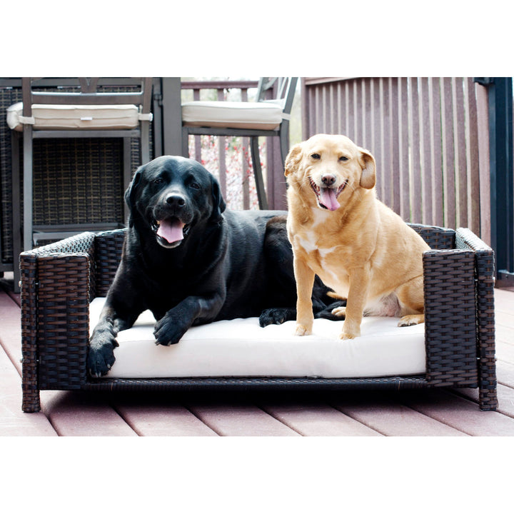 Cristobal Rattan Rectangular Dog Sofa Archie & Oscar™ Size: Large (38.5" W x 26.5" D x 15" H)
