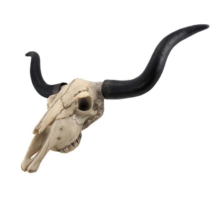 Longhorn Cow Skull Wall Décor Foundry Select